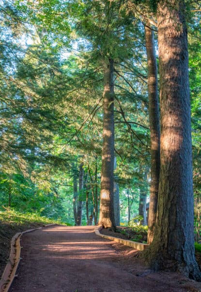 Path through Root Glen at Hamilton College in Oneida County New York