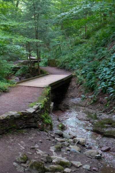 Stream and bridges in Root Glen on the campus of Hamilton College