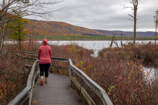 Woman hiking on the boardwalk in the Labrador Hollow Unique Area in New York