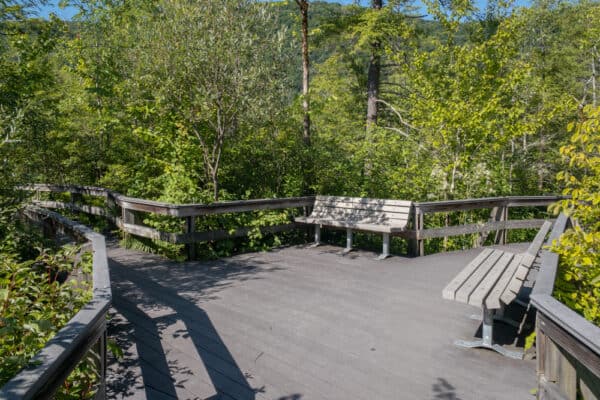 Trail split on the boardwalk at Labrador Hollow near Syracuse NY