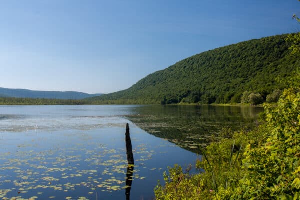 Labrador Pond in Onondaga County New York