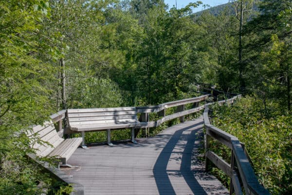 Benches along the boardwalk in the Labrador Hollow Unique Area of New York