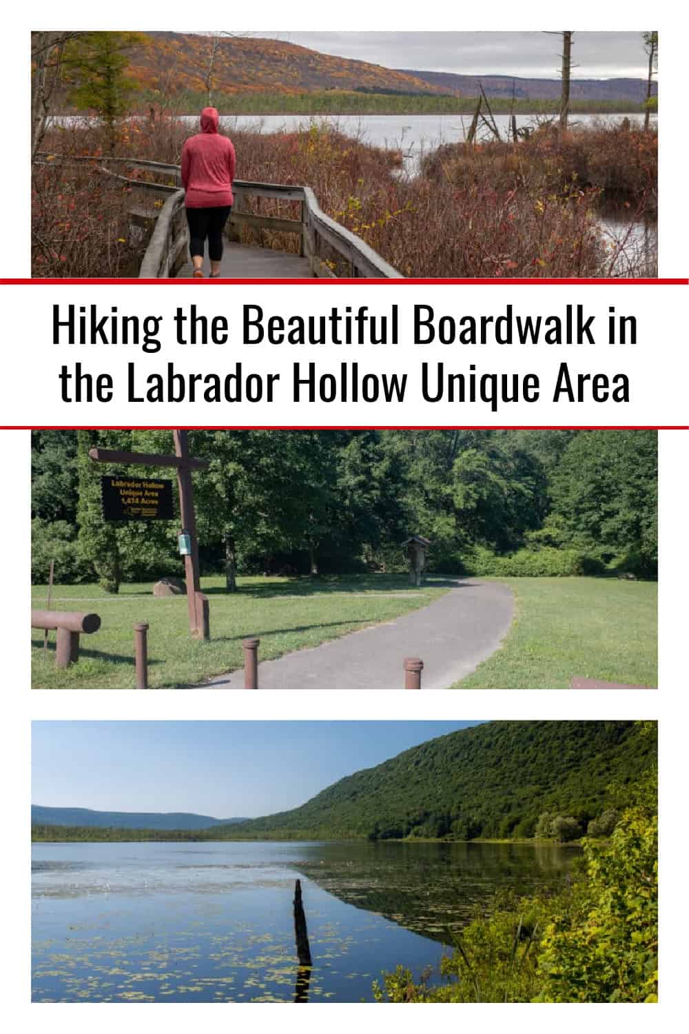 Hiking the Beautiful Boardwalk in the Labrador Hollow Unique Area Uncovering New York