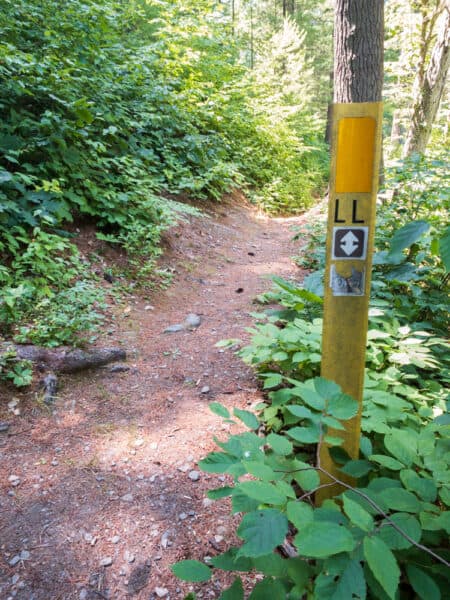 Marker on the Lily Lake Trail in Chenango Valley State Park in Binghamton New York