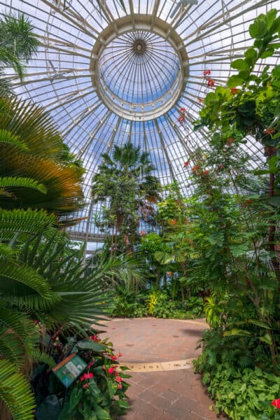 Inside the greenhouse at the Buffalo Botanical Gardens in New York