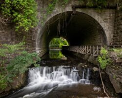 Hiking Through Corbett’s Glen Nature Park Near Rochester