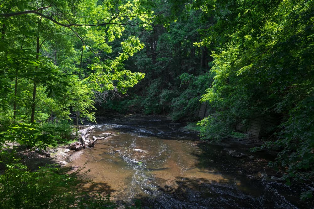 Hiking Through Corbett's Glen Nature Park Near Rochester Uncovering