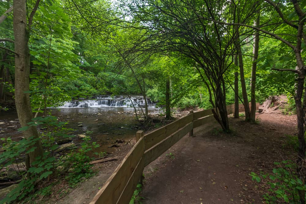 Hiking Through Corbett's Glen Nature Park Near Rochester Uncovering