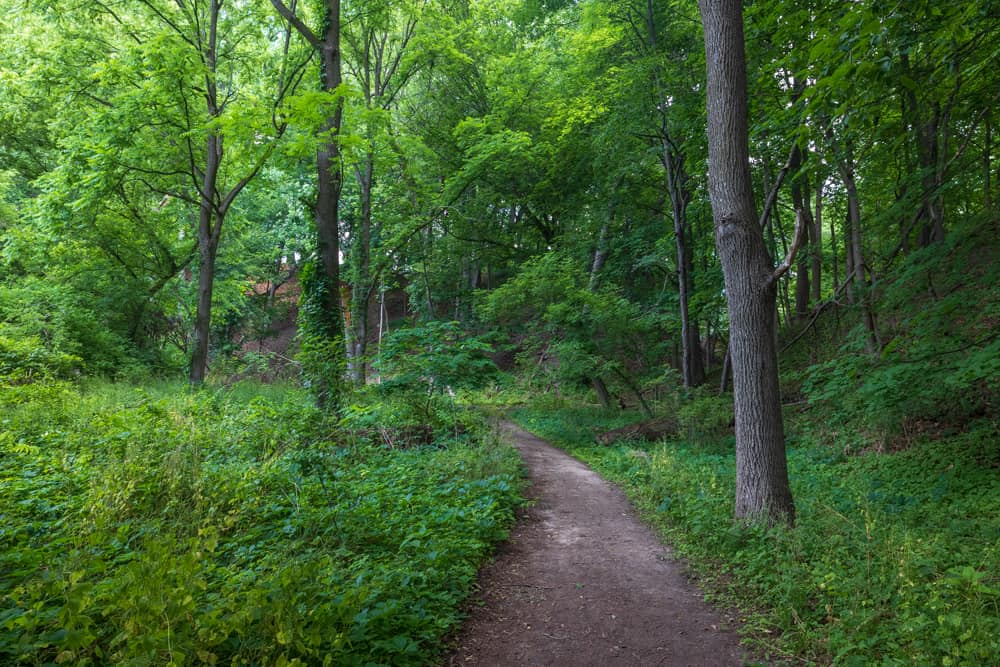 Hiking Through Corbett's Glen Nature Park Near Rochester - Uncovering ...