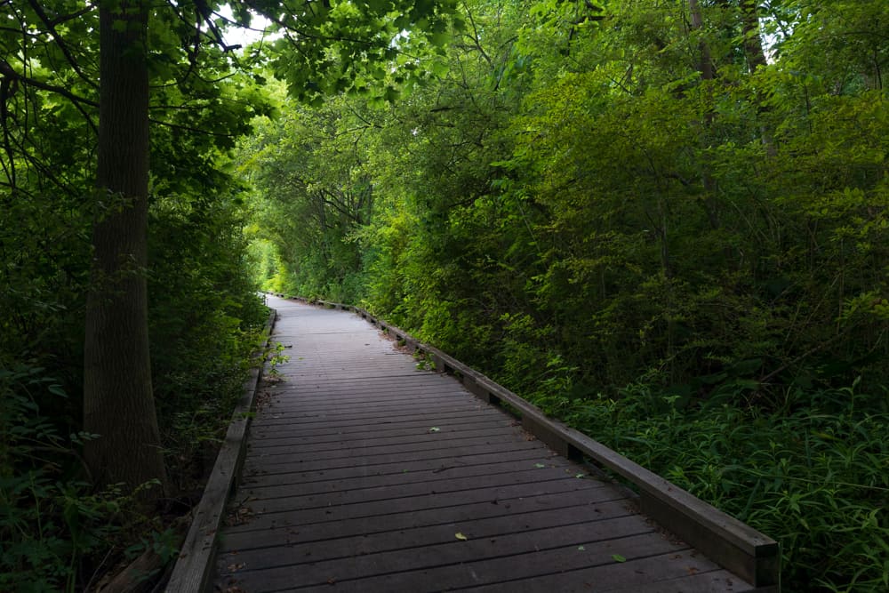 Hiking Through Corbett's Glen Nature Park Near Rochester Uncovering
