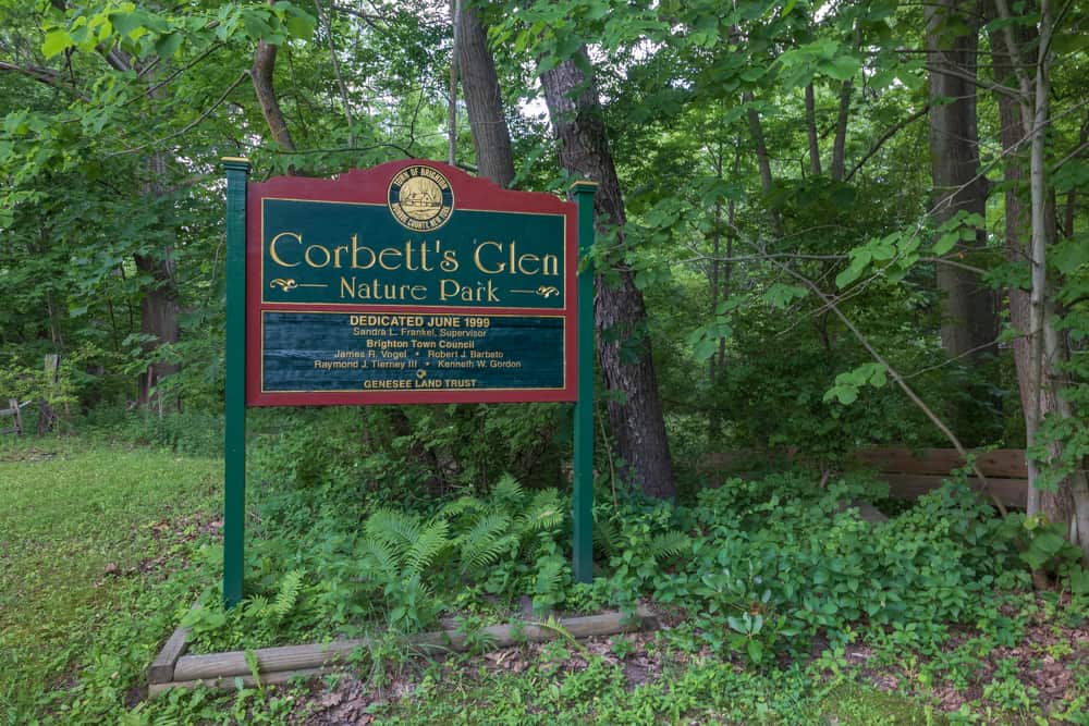Hiking Through Corbett's Glen Nature Park Near Rochester Uncovering
