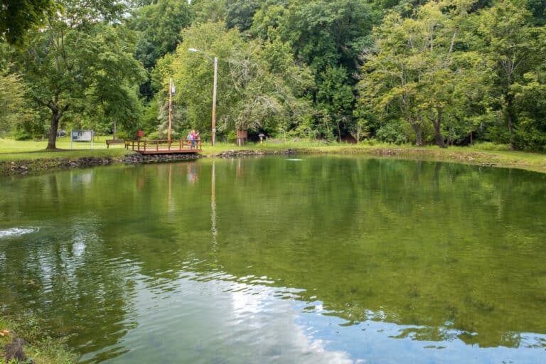 Visiting the Powder Mills Fish Hatchery near Rochester Uncovering New