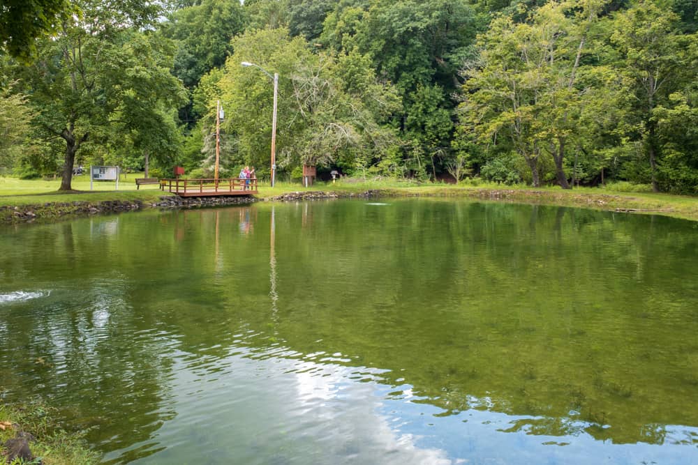 Visiting the Powder Mills Fish Hatchery near Rochester Uncovering New