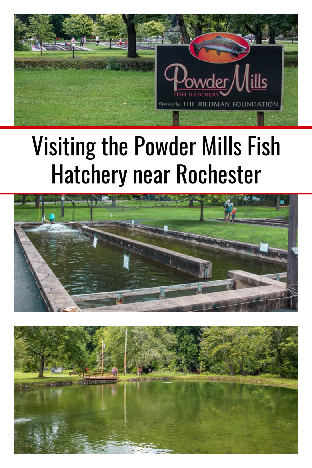 Visiting the Powder Mills Fish Hatchery near Rochester Uncovering New