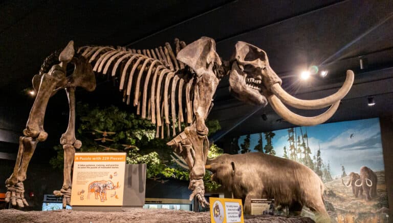 Visiting The Fantastic Rochester Museum And Science Center Uncovering