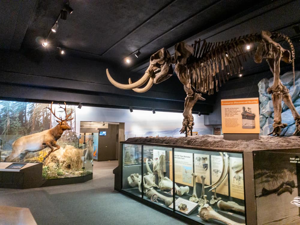 Visiting the Fantastic Rochester Museum and Science Center Uncovering New York