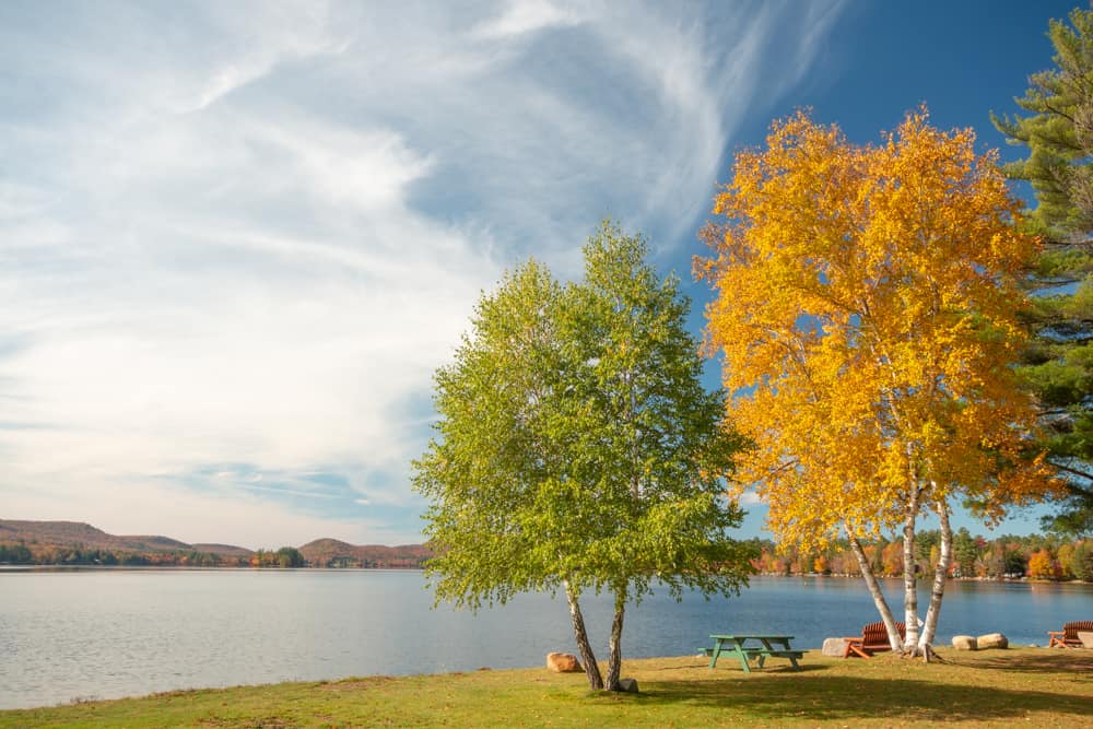 11 Beautiful Roadside Spots to See Fall Foliage in the Adirondacks