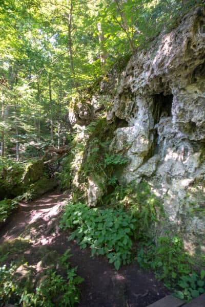 Limestone caves at the Robert Woodruff Nature Center near Fort Plain NY