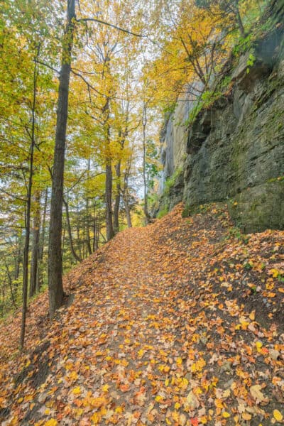 The leaf covered Indian Ladder trail between Outlet Falls and Minelot Falls.