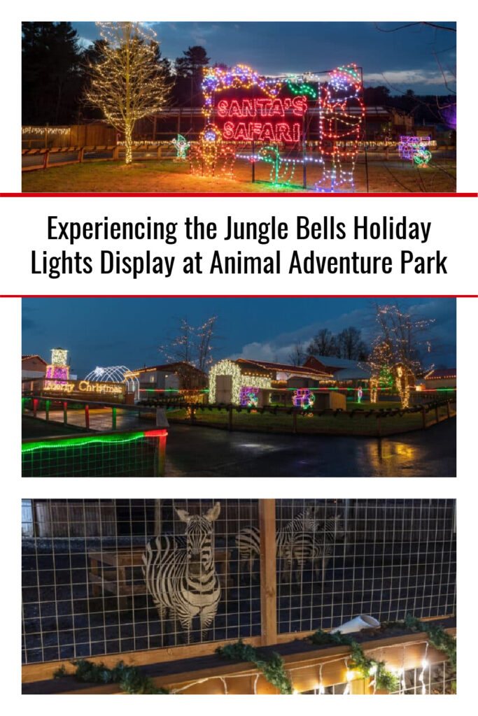 Jungle Bells is a festive Christmas light show at Animal Adventure