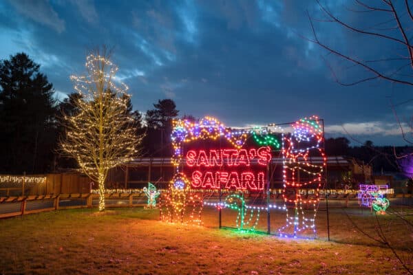 Experiencing the Festive Jungle Bells Holiday Lights Display at Animal  Adventure Park Near Binghamton - Uncovering New York