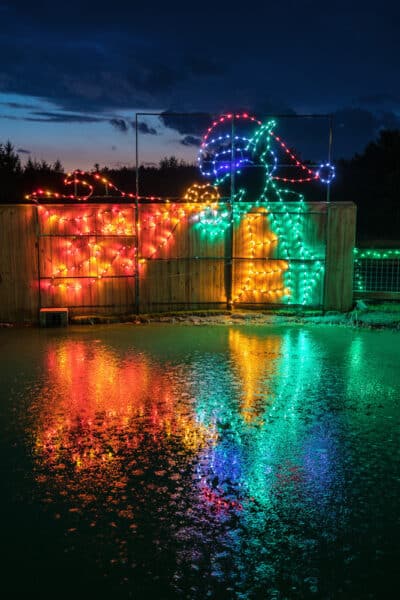 Experiencing the Festive Jungle Bells Holiday Lights Display at Animal  Adventure Park Near Binghamton - Uncovering New York