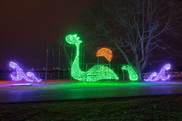 Nessie light at Holiday Lights on the Lake in Syracuse New York