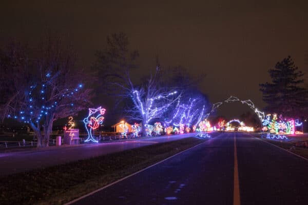 Looking down the road towards more lights at Christmas Lights on the Lake near Syracuse NY