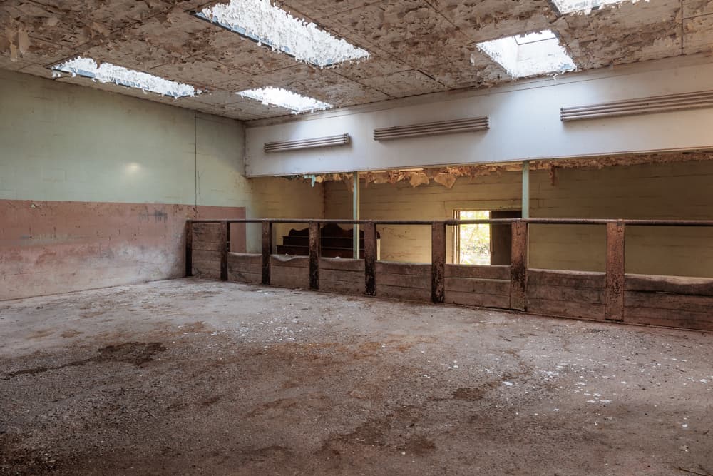 Old Catskill Game Farm What It's Like to Explore and Stay the Night at