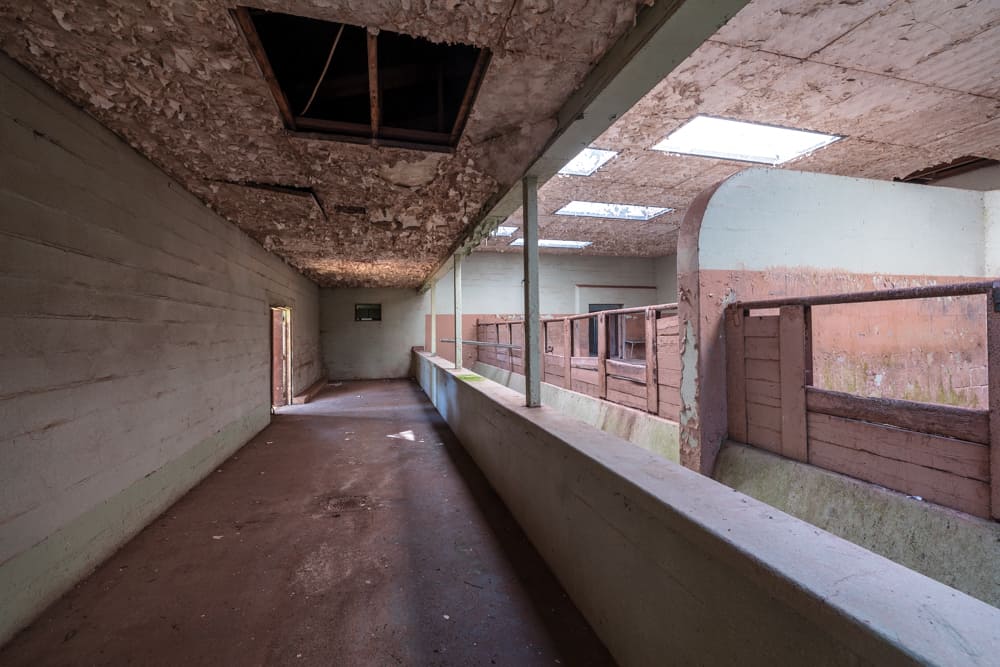 Old Catskill Game Farm What It's Like to Explore and Stay the Night at