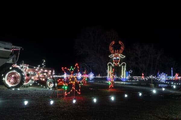 A selection of light displays at Twinkle Town in Elmira New York