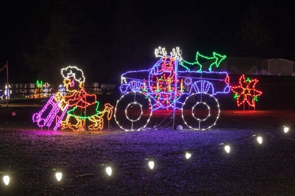 Grandma Got Run Over By a Reindeer Display at Twinkle town at Bradley Farms near Elmira NY