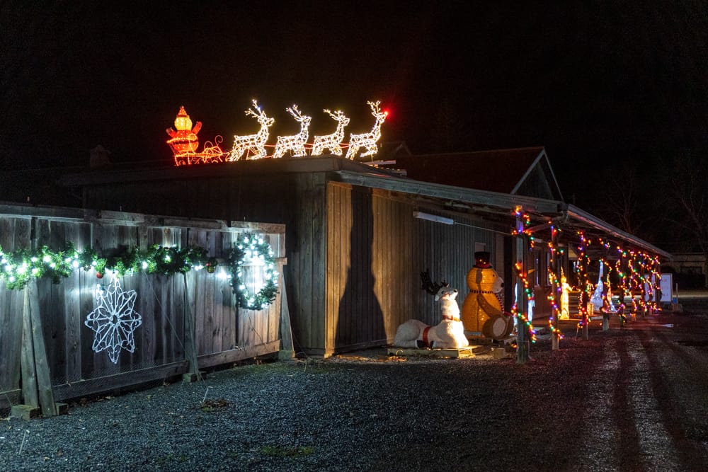 Twinkle Town in Elmira: What It's Like to to Drive Through Their ...