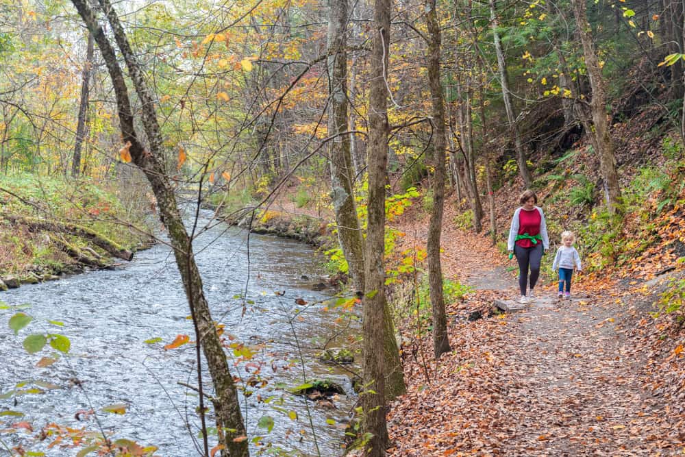 Hiking To The Spouters And Mineral Springs On The Geyser Trail In Saratoga Spa State Park