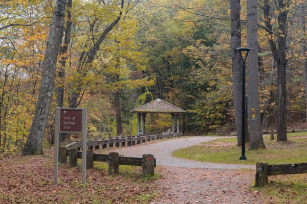 Winding road in Saratoga Spa State Park in New York