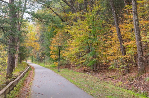 Roads through colorful trees at Saratoga Spa State Park in Saratoga County NY