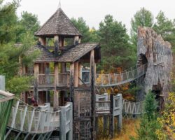 Exploring the Incredible Wild Center in Tupper Lake