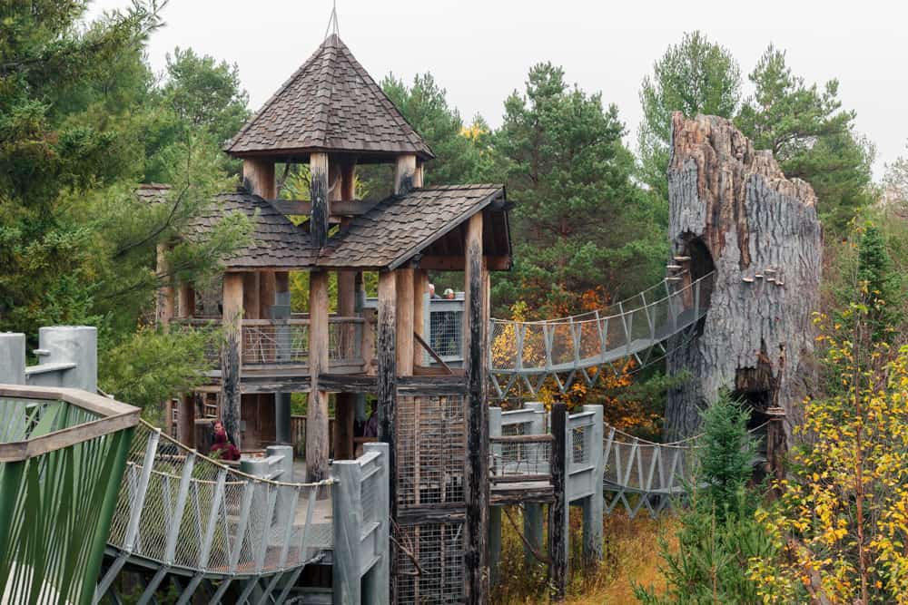 The treehouse at the Wild Center in Tupper Lakes New York