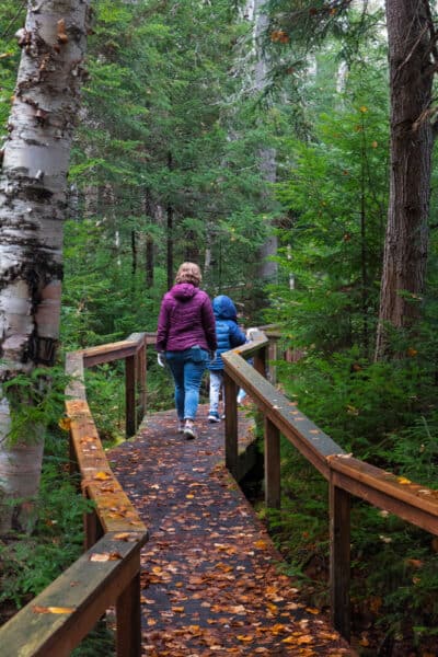 Woman walking on a boardwalk in the woods at the Wild Center in Tupper Lake NY