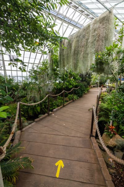 Boardwalk in the Florida Everglades Garden at the Buffalo and Erie County Botanical Gardens in New York