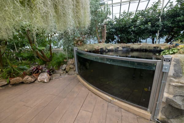 Fish tank in the Buffalo Gardens in New York