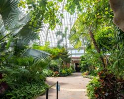 Visiting the Buffalo and Erie County Botanical Gardens in Erie County