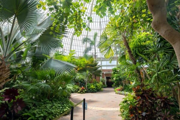 Inside the Buffalo and Erie County Botanical Gardens in New York