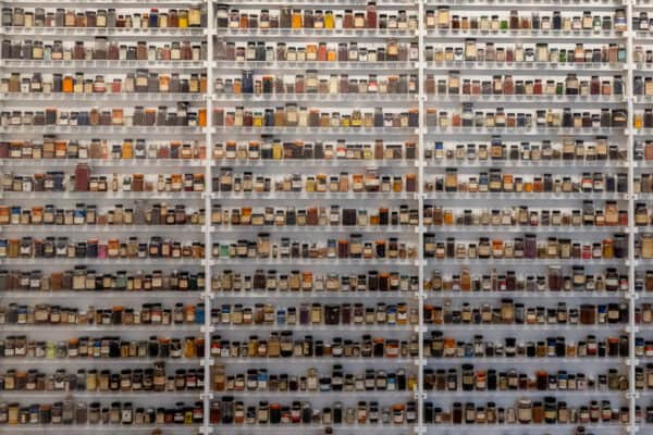 Wall of photography equipment at the George Eastman Museum in Rochester New York