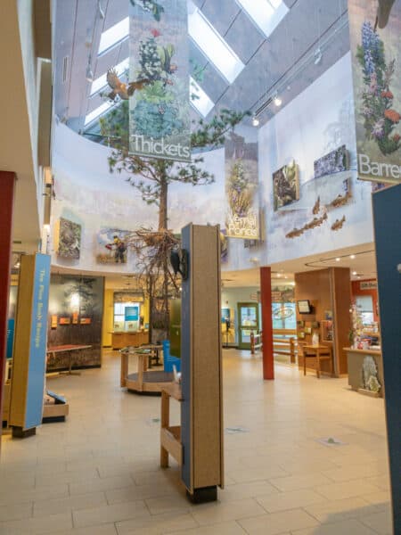 Displays in the Discovery Center at the Albany Pine Bush Preserve in NY