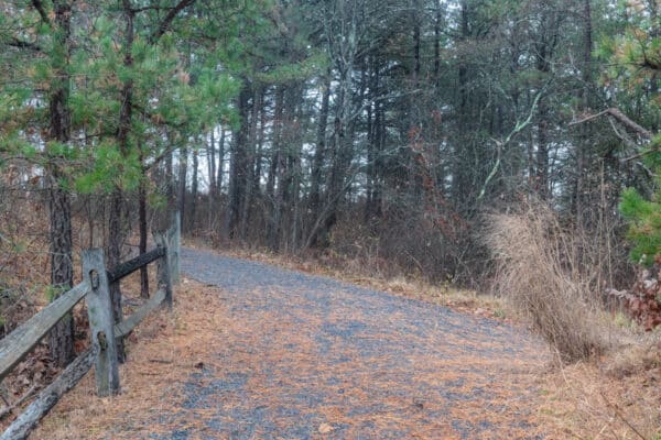 Trail in the Albany Pine Bush Preserve in Albany, New York