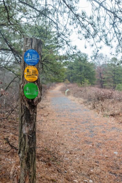 Trail markers at the Albany Pine Bush Preserve in Albany NY