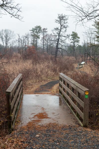 A bridge in the Albany Pine Bush Preserve.