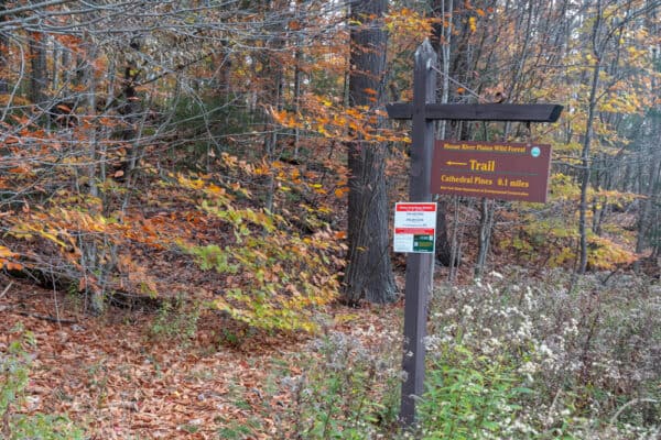 The trailhead for the Cathedral Pines Trail in Hamilton County, NY