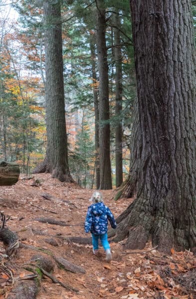 Child hiking the Cathedral Pines in Hamilton County NY